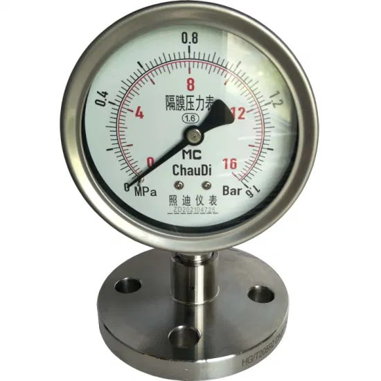 316L ダイヤフラム 100 ミリメートル天然ガス測定用ステンレス鋼ダイヤフラム圧力計